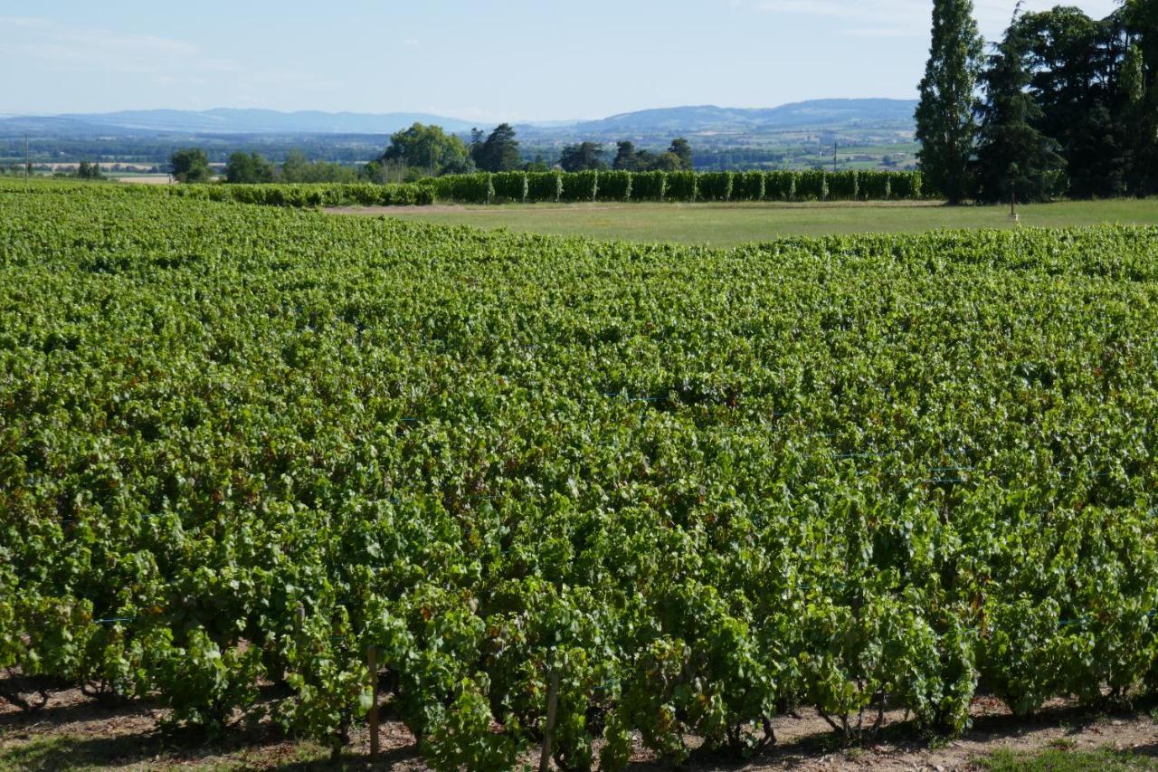 Le Bel Air De Saint Jean Panzió Belleville-en-Beaujolais Kültér fotó